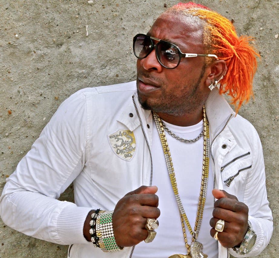 Artist - Elephant Man