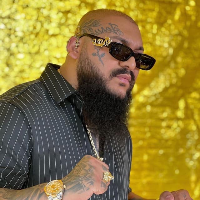 Artist - Dani Mocanu