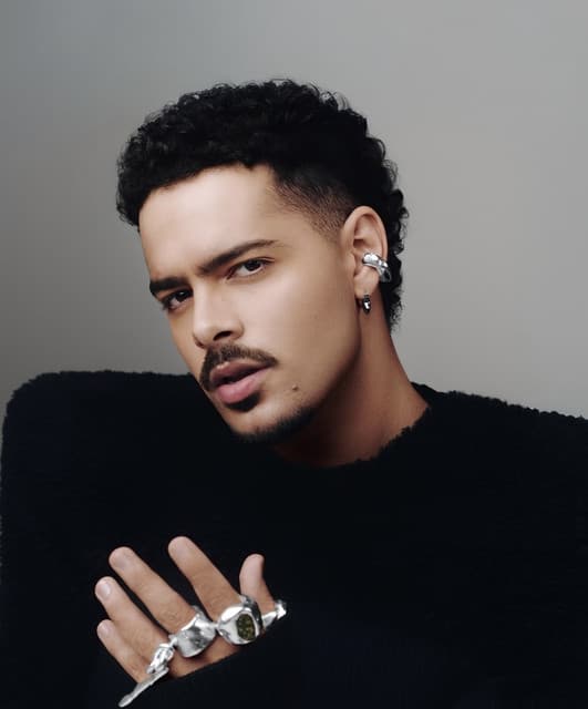 Artist - PEDRO SAMPAIO