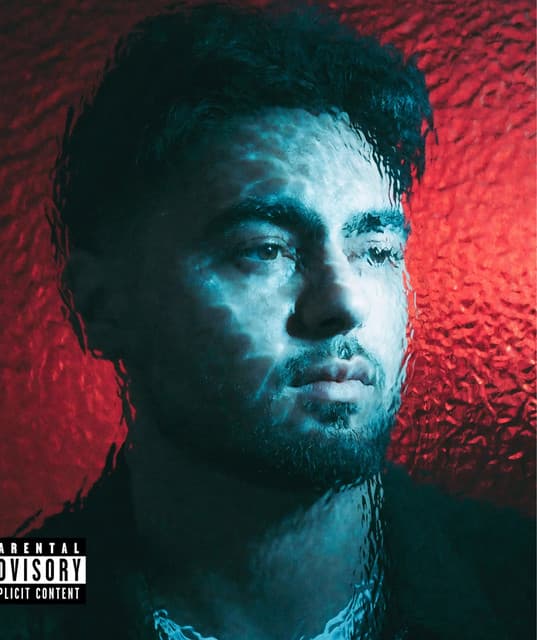 Artist - Jassa Dhillon