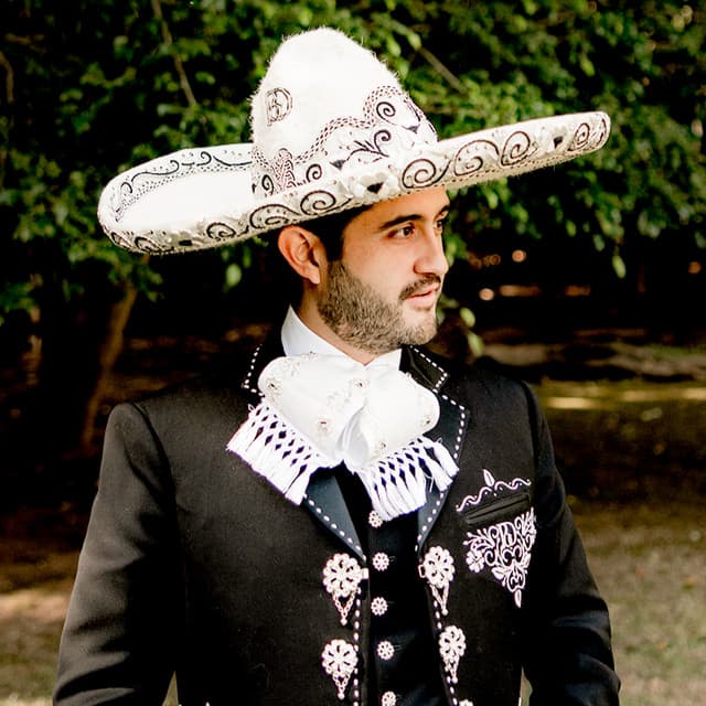 Artist - Diego Herrera