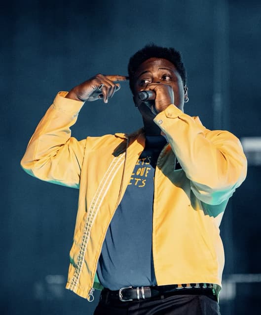 Artist - Bipolar Sunshine