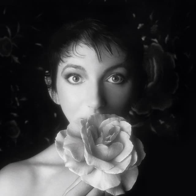 Artist - Kate Bush