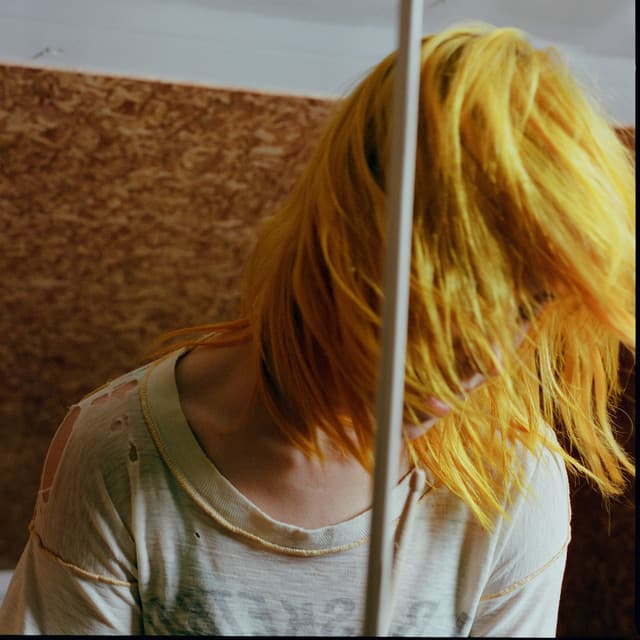 Artist - Hayley Williams