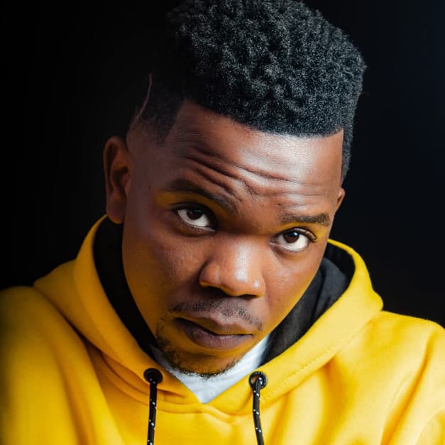 Artist - Cardinal X25