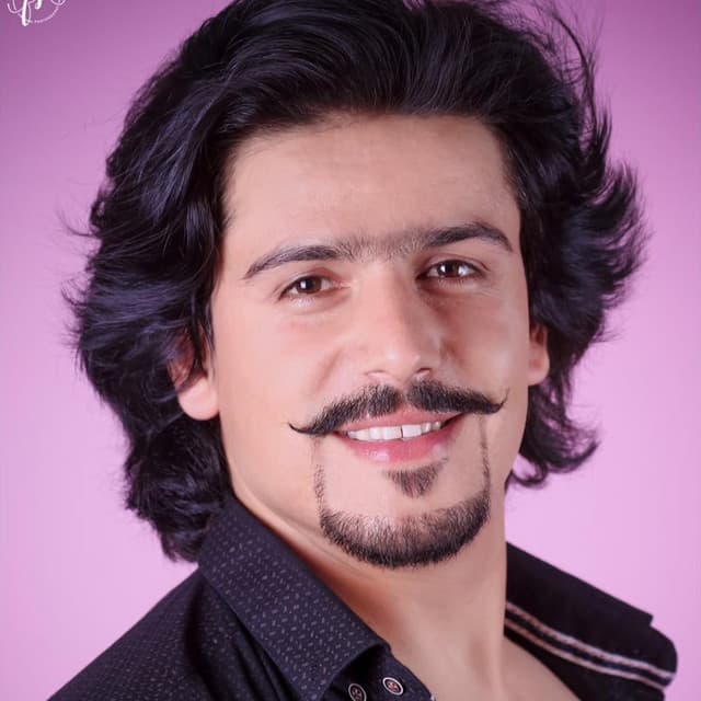 Artist - Javed Amirkhil