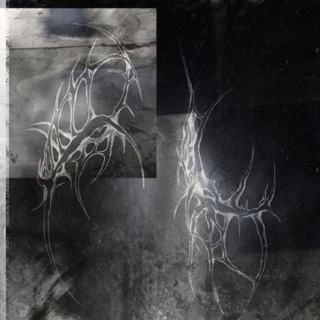 Artist - Surreal_dvd