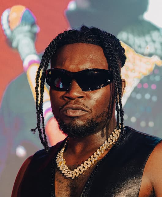 Artist - Manu WorldStar