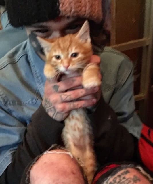 Artist - Кишлак