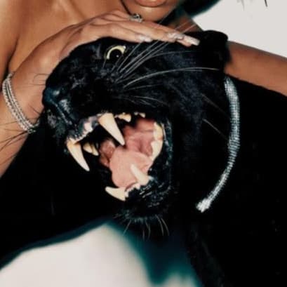 Artist - LOS DIABLOS FMP