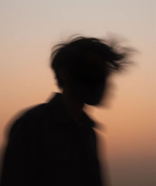 Artist - Zinu Arashi