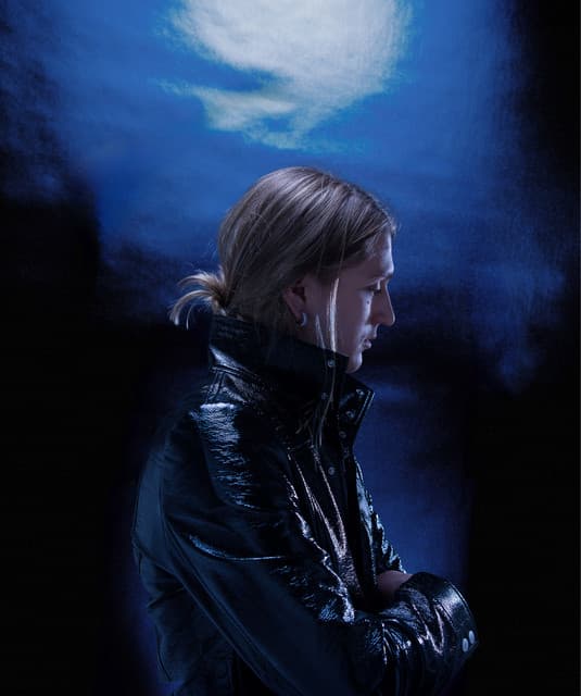 Artist - Платина