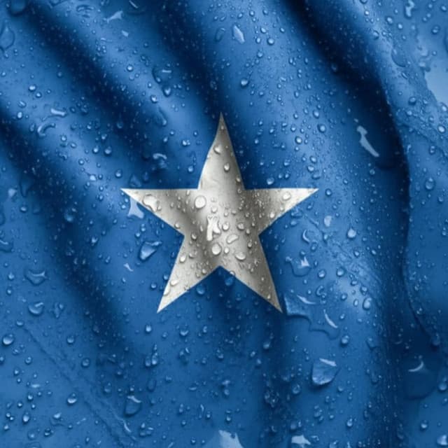 Artist - Sanaag Music