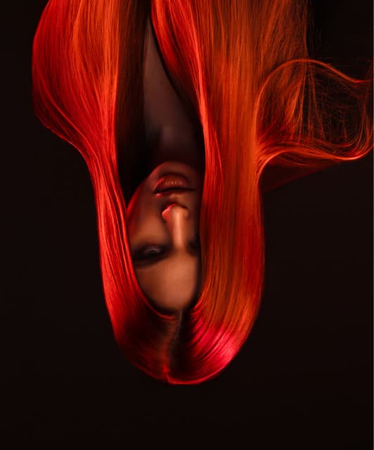 Artist - Erika Lundmoen