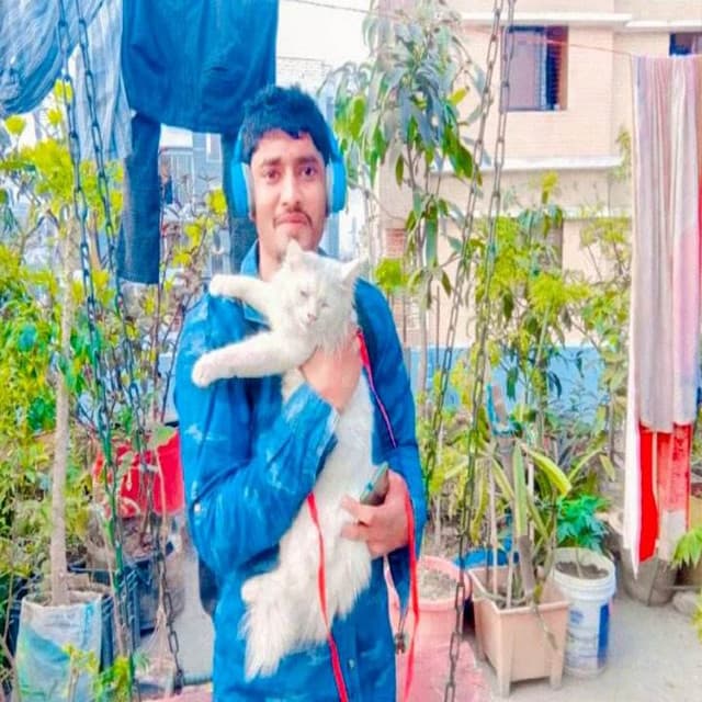 Artist - Md Samsud doha sabbir