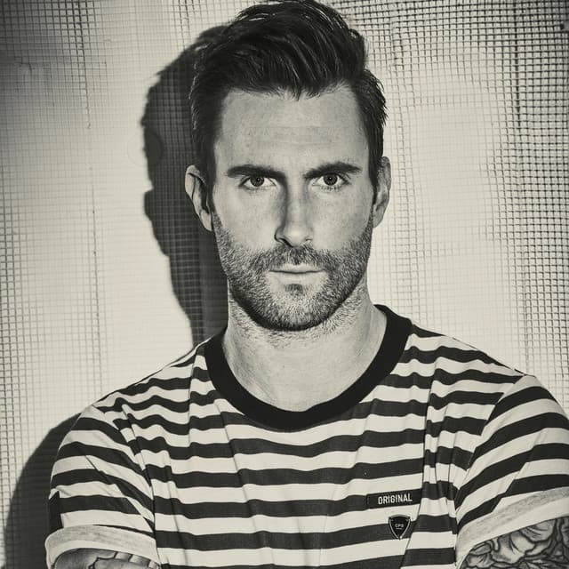 Artist - Adam Levine
