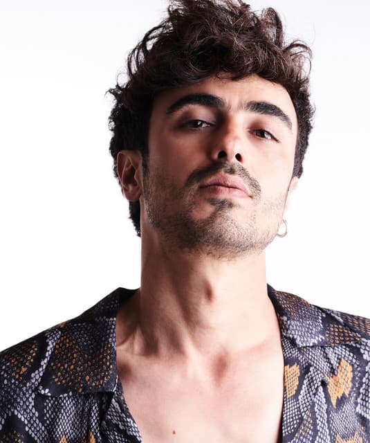 Artist - Mark Eliyahu