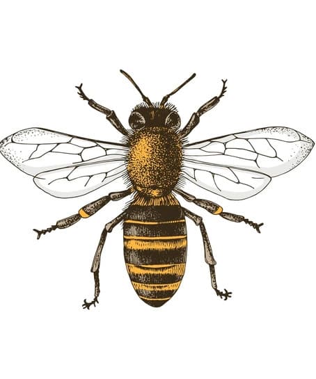 Artist - John Pollõn