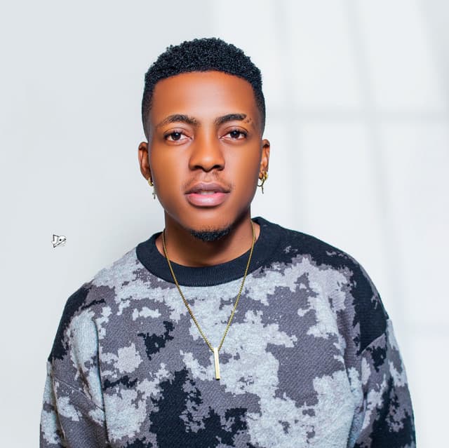 Artist - Paulo Kibrilha