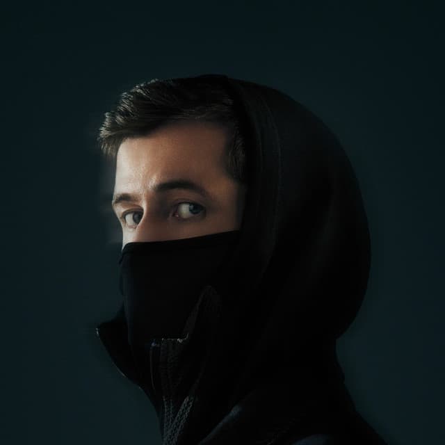Artist - Alan Walker