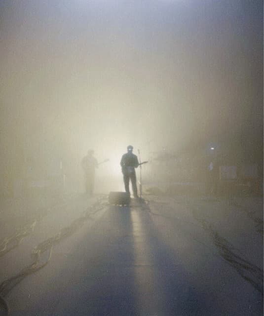 Artist - Flawed Mangoes