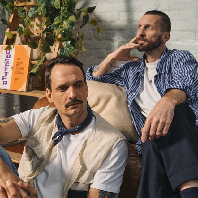 Artist - Dam Swindle