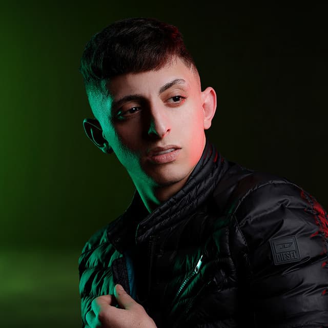 Artist - Anas Abu Sneineh