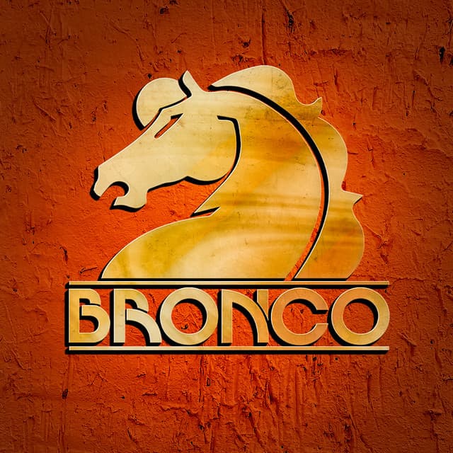 Artist - Bronco