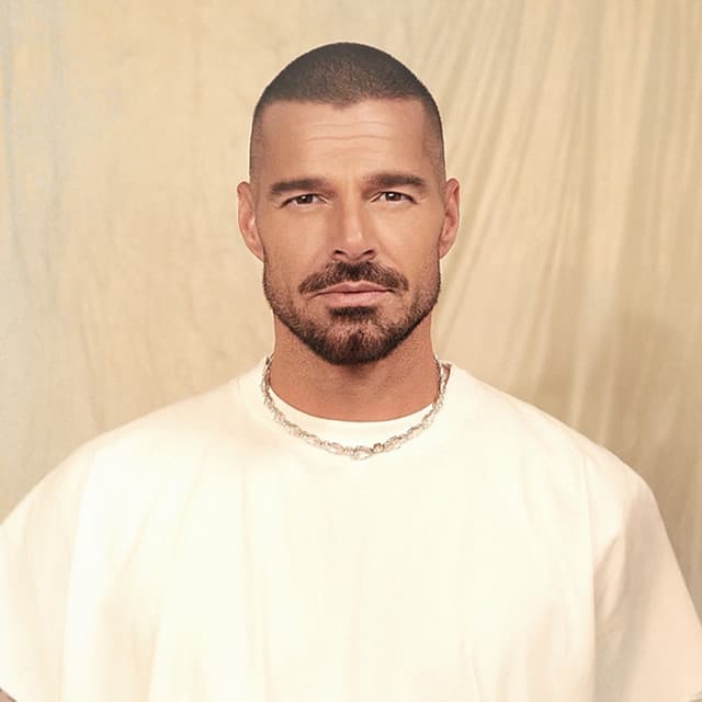Artist - Ricky Martin