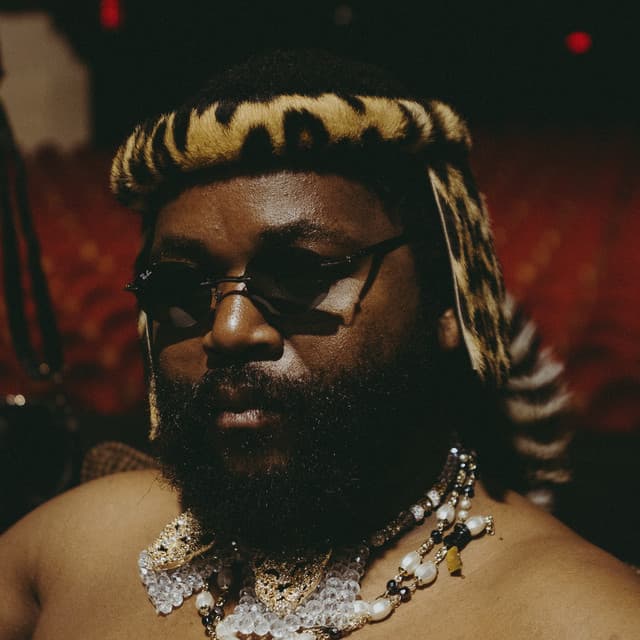 Artist - Sjava
