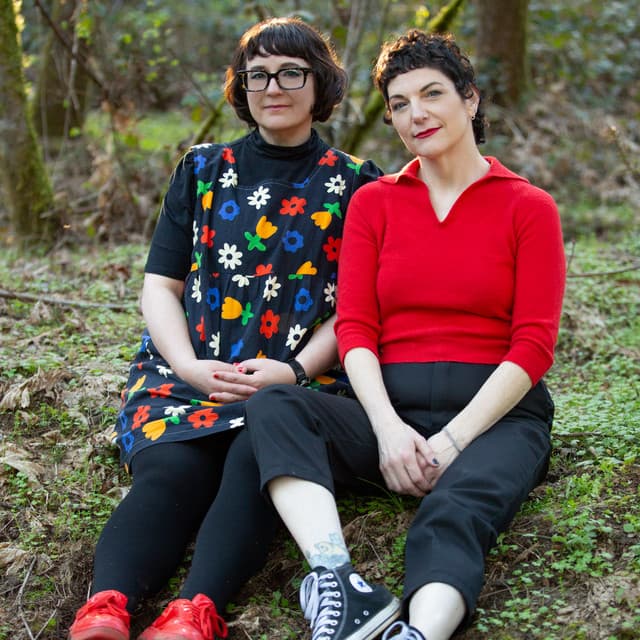 Artist - The Softies