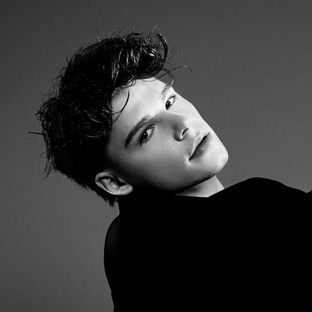 Artist - Cristian Porcari