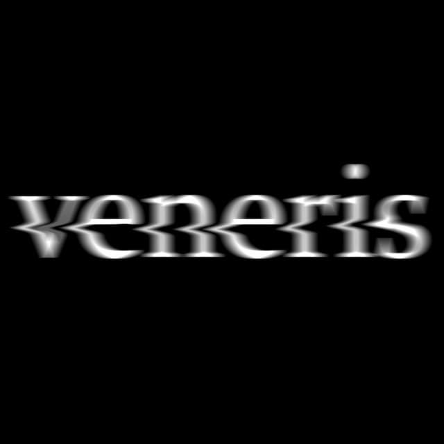 Artist - veneris