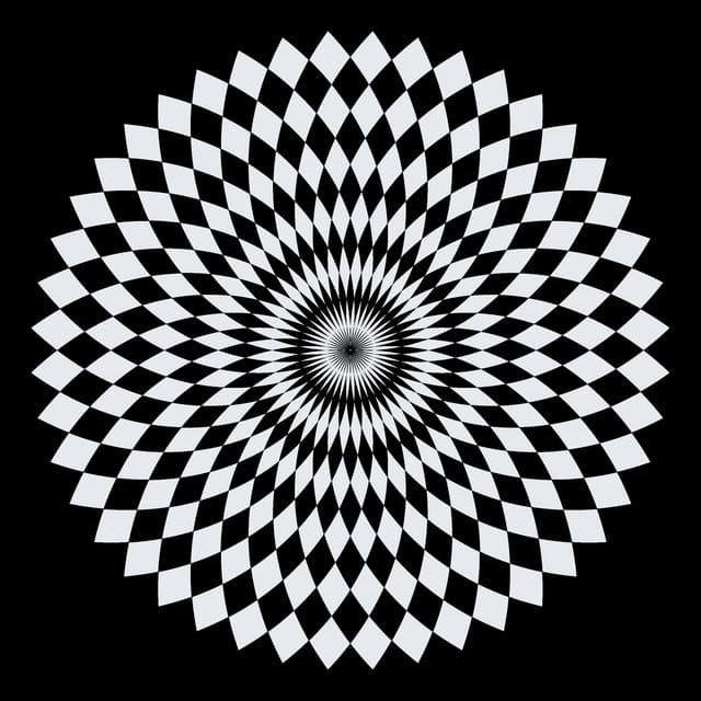 Artist - Rohail Hyatt