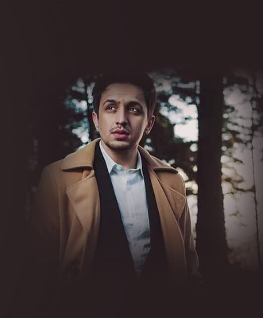 Artist - Suliman Khan