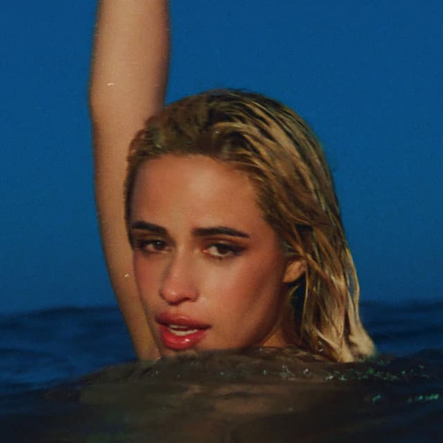 Artist - Camila Cabello