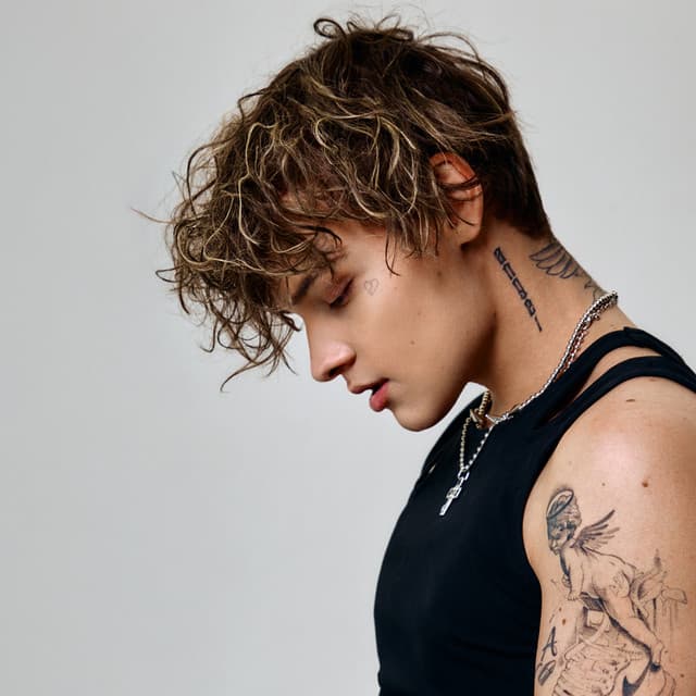 Artist - ЕГОР ШИП