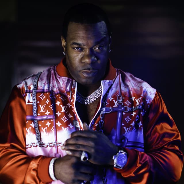 Artist - Busta Rhymes