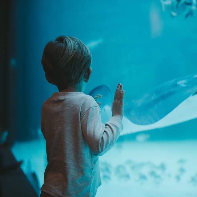 Artist - Veaceslav Draganov