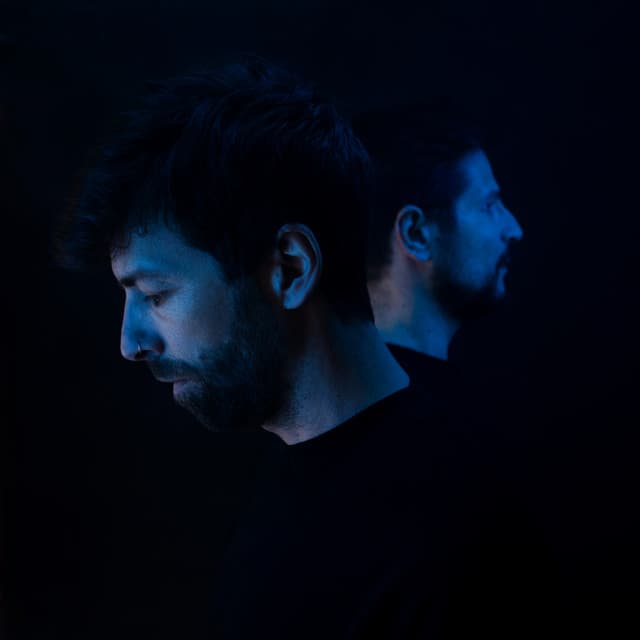 Artist - Animal Picnic