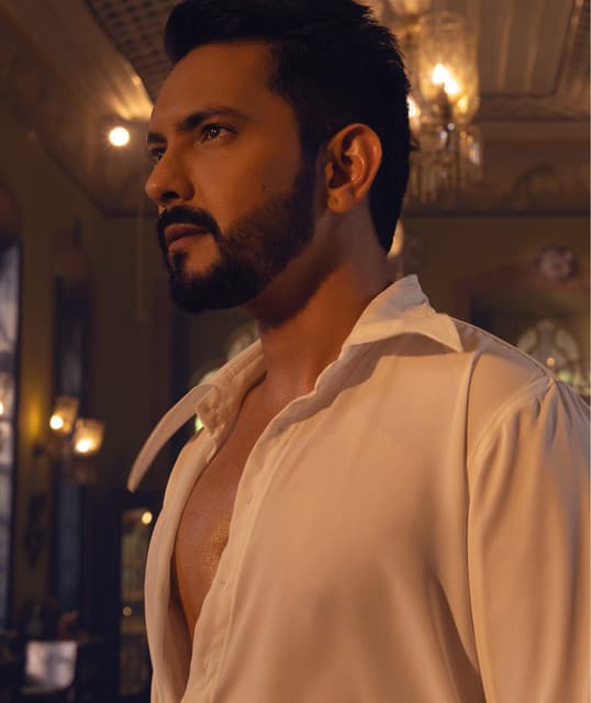 Artist - Aditya Narayan