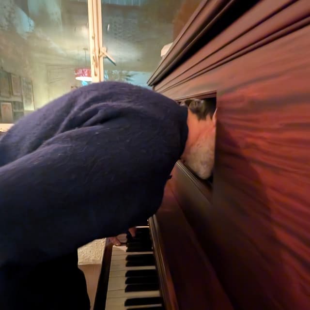 Artist - Patrick Watson