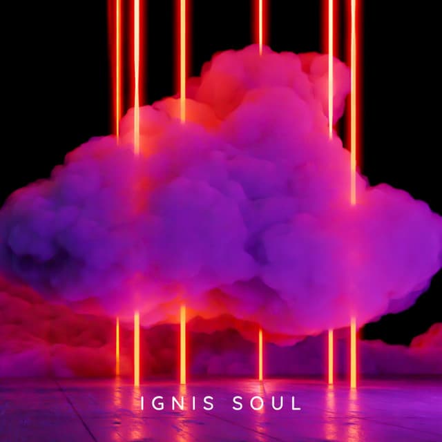 Artist - Ignis Soul