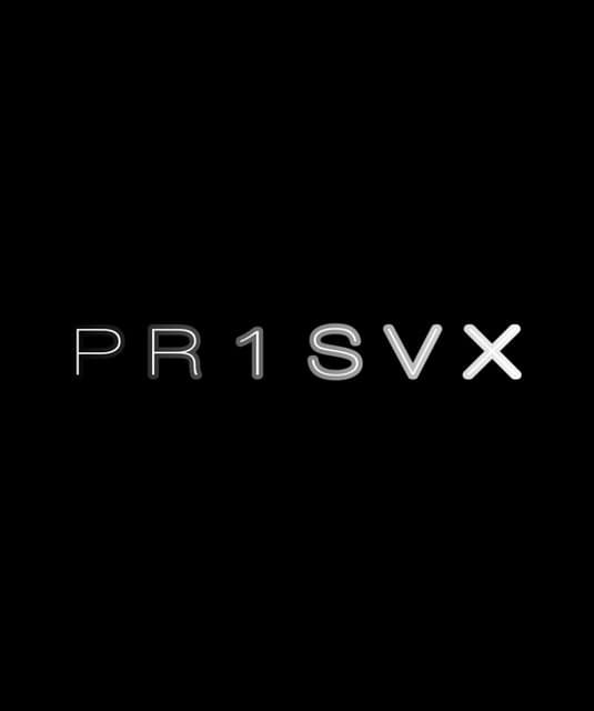 Artist - PR1SVX
