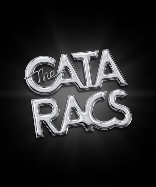 Artist - The Cataracs