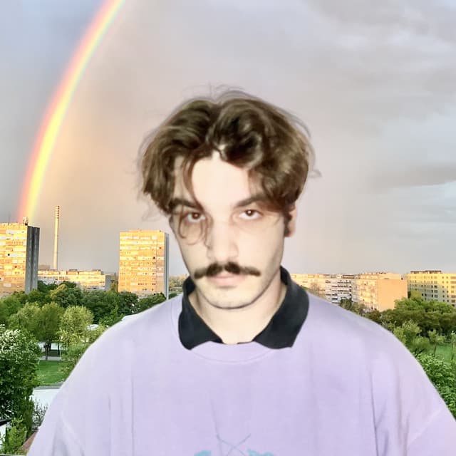 Artist - Fran Vasilić