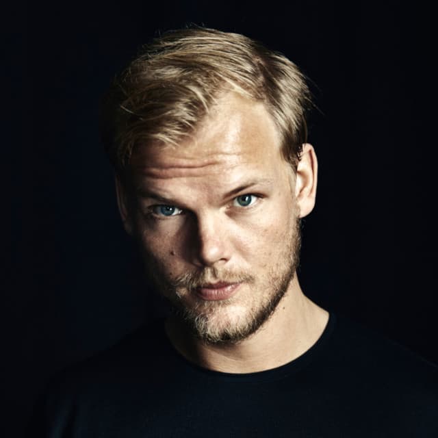 Artist - Avicii