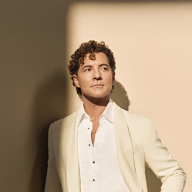 Artist - David Bisbal