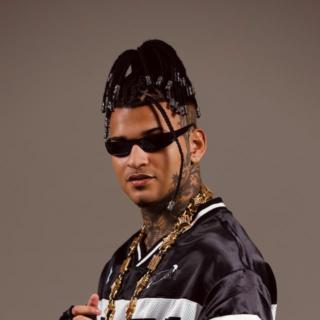 Artist - Anderson Neiff