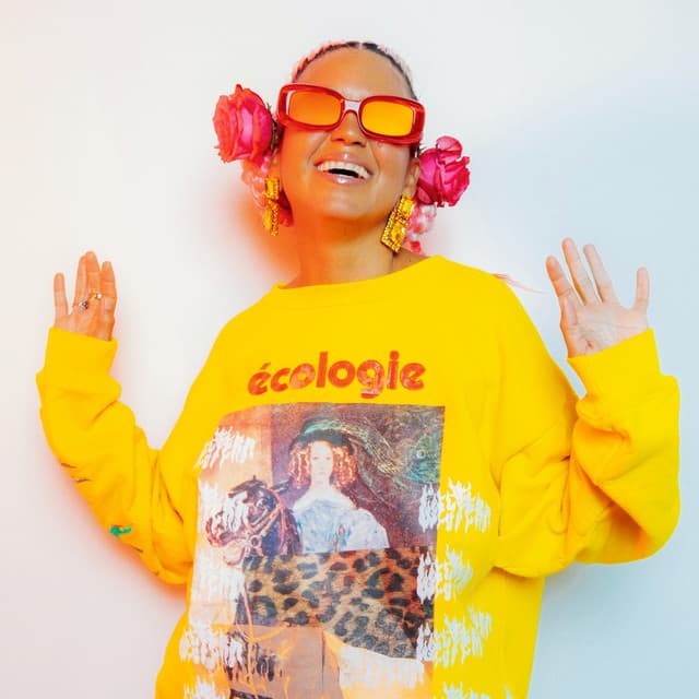 Artist - Bomba Estéreo